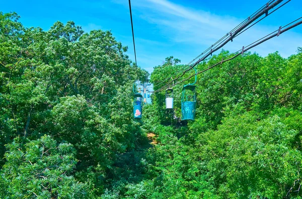 Colina Coberta Com Exuberante Floresta Verde Com Cabines Vintage Teleférico — Fotografia de Stock