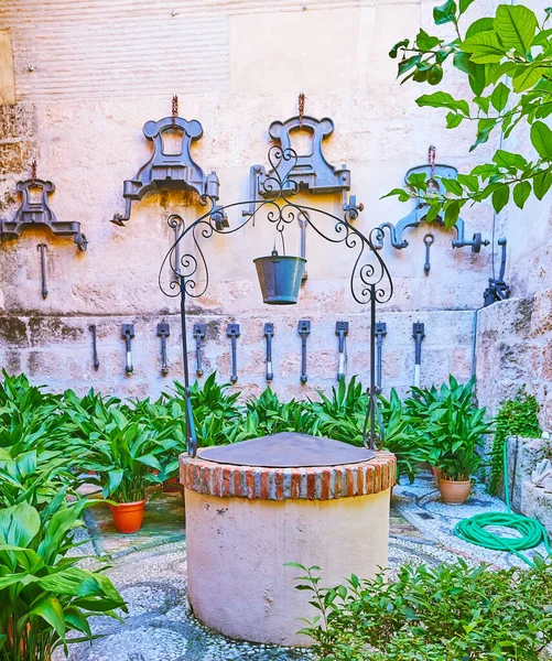 Vieux Puits Petit Jardin Avec Des Plantes Vertes Dans Des — Photo