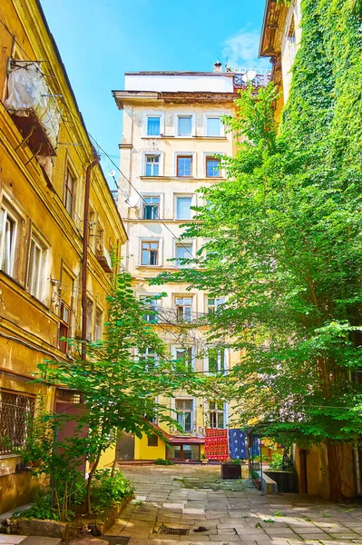 Green Trees Twisted Grapevines Decorate Shabby Old Yard Historic District — Stock Photo, Image