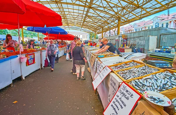 Odessa Ukraine Juni 2021 Die Stände Der Frischfischabteilung Des Privoz — Stockfoto