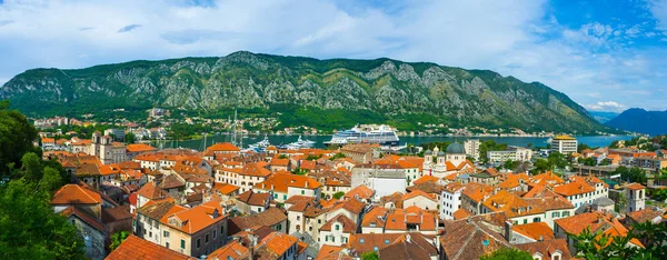 Kotor en la palma — Foto de Stock