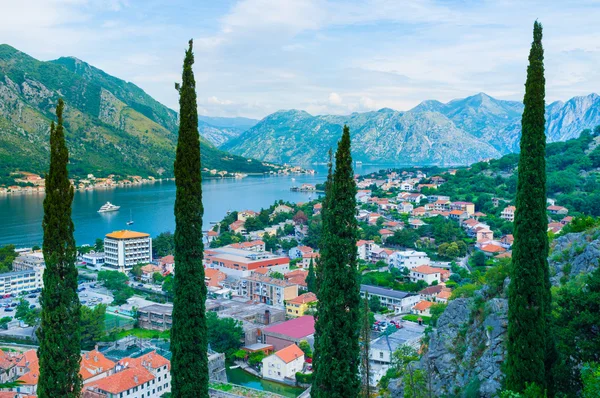 The view with the trees — Stock Photo, Image