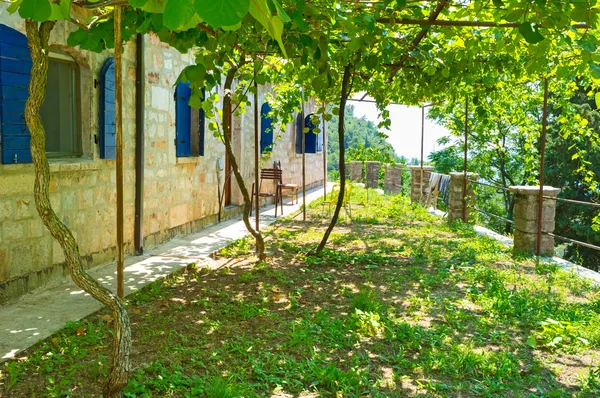 El jardín sombreado — Foto de Stock