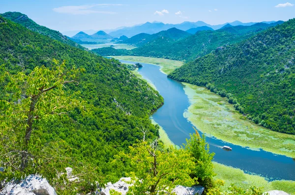 La natura selvaggia — Foto Stock