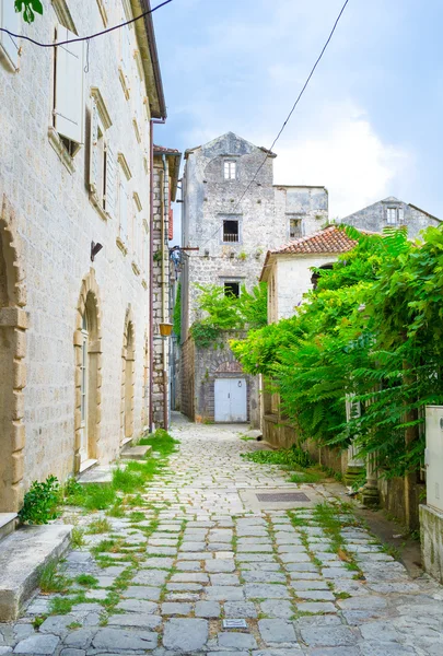 La ruelle en pierre — Photo