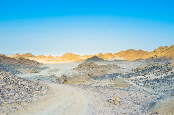 La route du désert — Photo