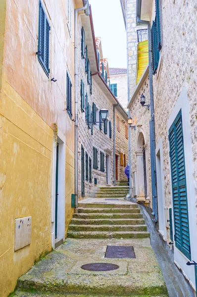 The wet houses — Stock Photo, Image