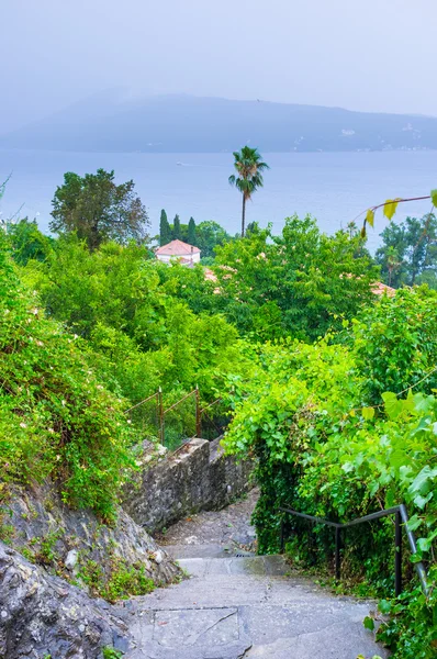 Den smala vägen — Stockfoto