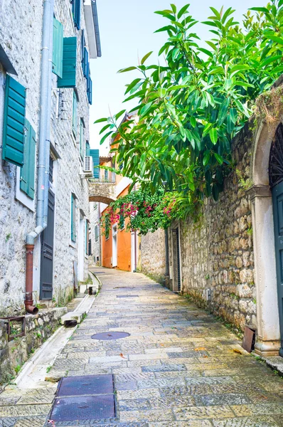 The street after the rain — Stock Photo, Image