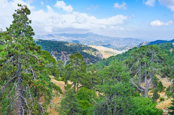 The National park — Stock Photo, Image