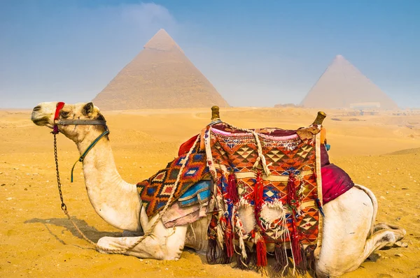 Giza hoş geldiniz — Stok fotoğraf