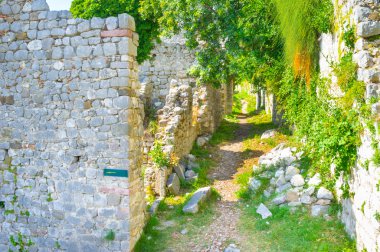 Yolun taşları arasında