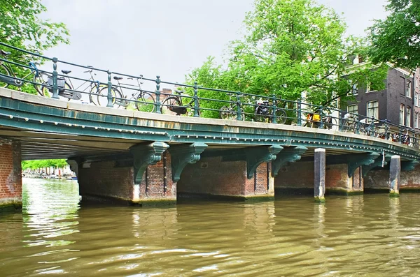 A ponte — Fotografia de Stock