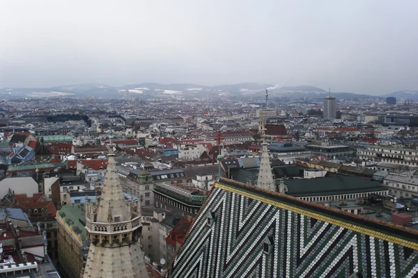 From the tower of St Stephen's cathedral — Stok fotoğraf