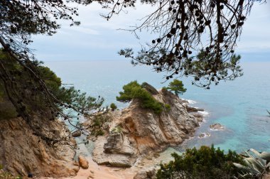 Kırmızı kayalık ada