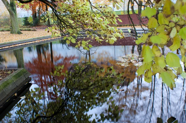 Zrcadlo rybníka — Stock fotografie