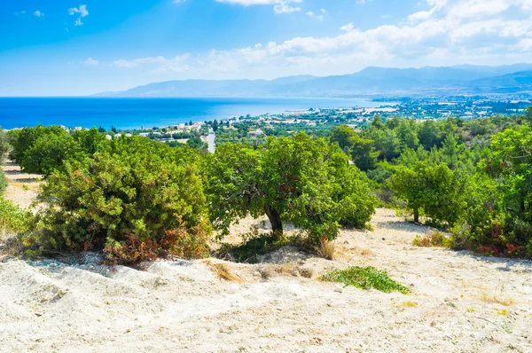 The garden — Stock Photo, Image