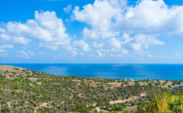 Kyproksen luonne — kuvapankkivalokuva