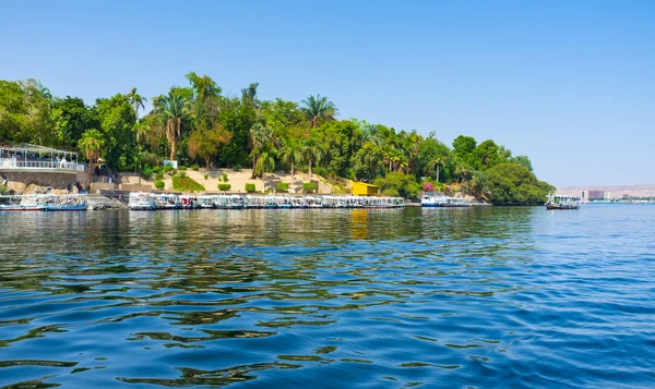 De tuin van Aswan — Stockfoto