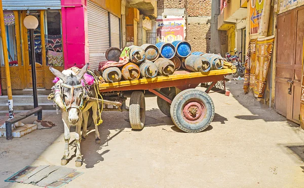 El burro con el carro —  Fotos de Stock