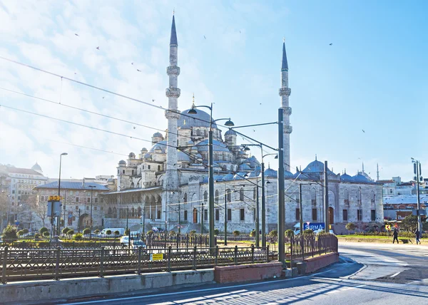 Den grå moskén — Stockfoto