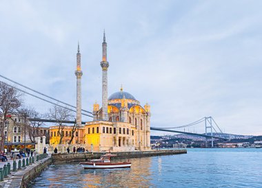 The mosque on Bosphorus clipart