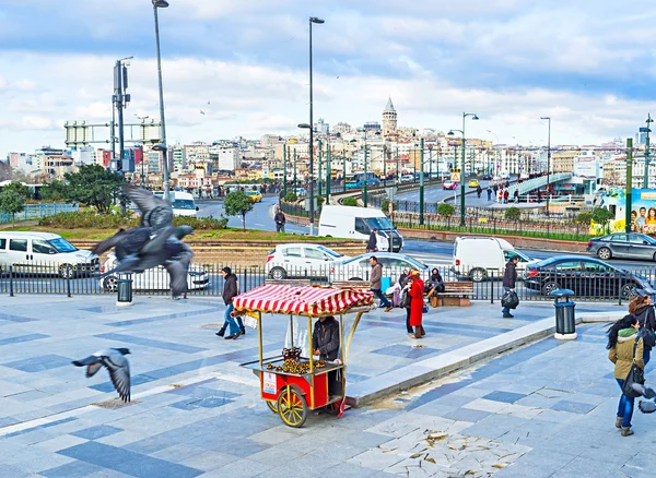 The chestnut cart — Stock Photo, Image