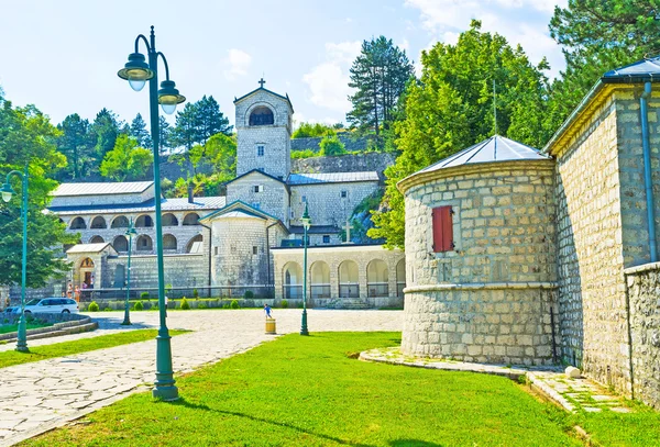 Srdce Cetinje — Stock fotografie