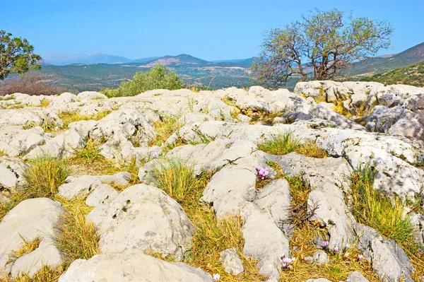 Il paesaggio con le pietre — Foto Stock