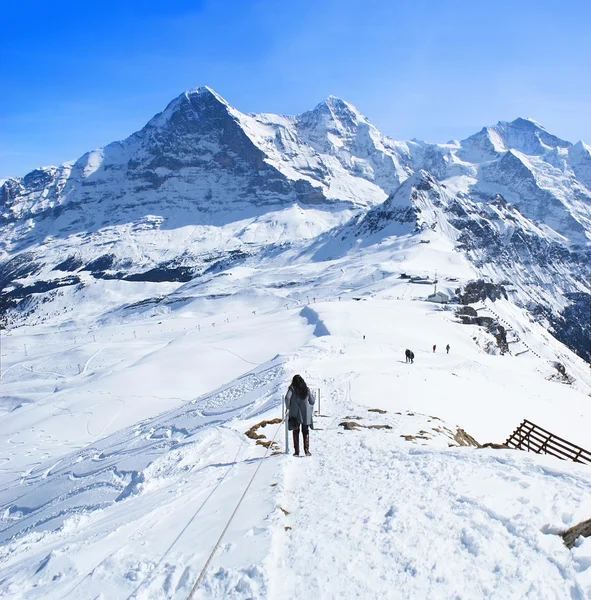Зима в Швейцарии — стоковое фото