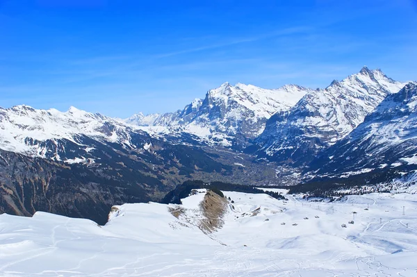 De vallei van Grindelwald — Stockfoto