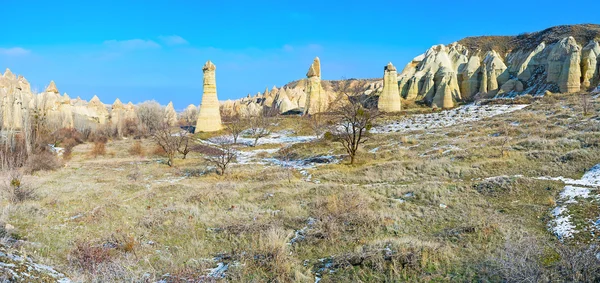 Зимний луг — стоковое фото