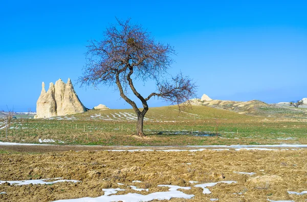 The farm lands — Stock Photo, Image