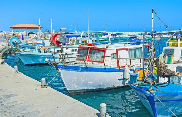 Günlük yürüyüş — Stok fotoğraf