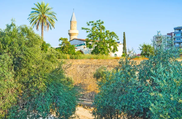 Bayraktar Mosque — Stock Photo, Image