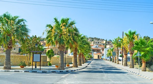 La calle con palmeras — Foto de Stock