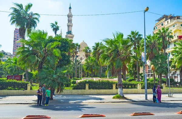 Il parco con le palme — Foto Stock