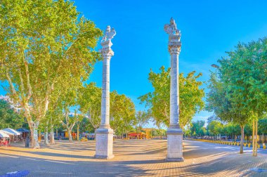 Gölgeli La Alameda Meydanı, pek çok açık hava kafede oyun oynayan çocukları, Sevilla 'yı, İspanya' yı izleyen akşam saatleri için popüler yerlerden biridir.