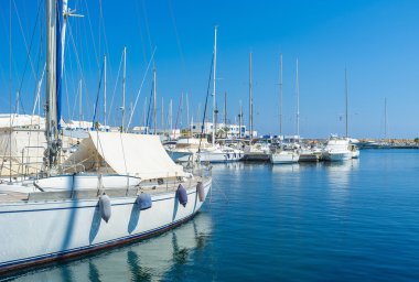 The luxury transport