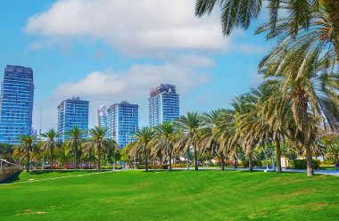 Zabeel Parkı 'ndaki çim biçme çimlerinde yürüyün ve arka planda inşa halindeki yemyeşil palmiyeler ve cam kuleleri izleyin, Dubai, BAE