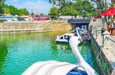 Beira Gölü 'ndeki Pettah Yüzen Pazarı tekne gezisi için ya da Kuğu Katamaranı, Kolombo, Sri Lanka' da dinlenmek için mükemmel bir yer.