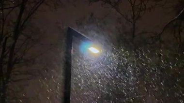 Karanlık gece gökyüzüne karşı sokak lambasının altında şiddetli kar yağışı