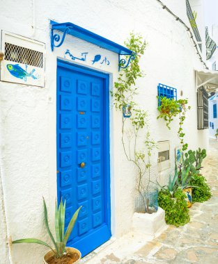 Mavi Kapılı