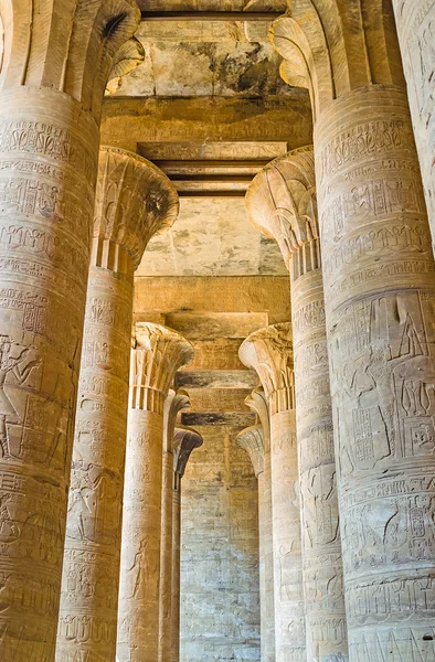 The columns in temple