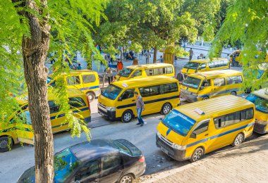 The taxi buses