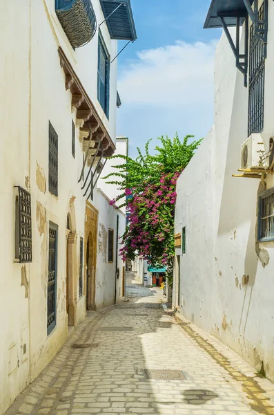 The streets of Medina