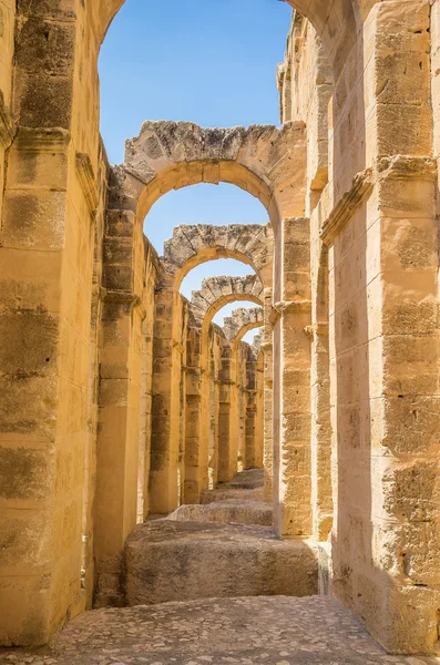 Os arcos estreitos — Fotografia de Stock