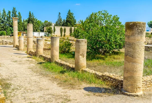 La fila de columnas —  Fotos de Stock