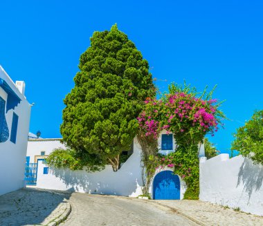 Sidi Bou Said peyzaj