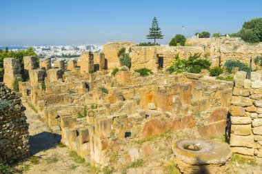 Taşların arasında